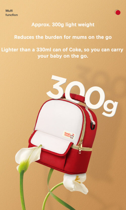 Double Layer breastfeeding Bag