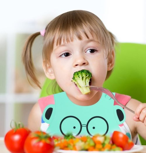 Waterproof Baby Silicone Bib