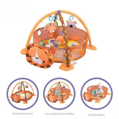 3 in 1 Activity Gym Play Mat With 30 Balls and Toys