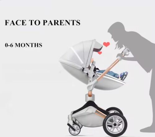 Limited Edition Luxury Baby Straller