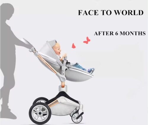 Limited Edition Luxury Baby Straller