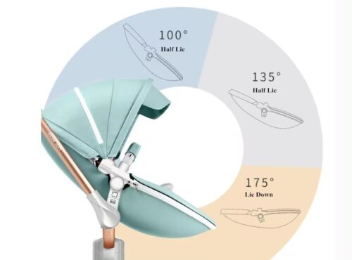Limited Edition Luxury Baby Straller
